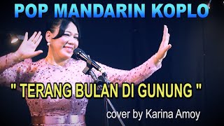 Lagu Mandarin Koplo,TERANG BULAN DI GUNUNG _ ( Titik Sandora ) - Cover : Karina Amoy