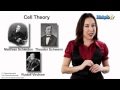 Learn biology cellsdiscovery of cells