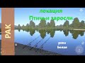 Русская рыбалка 4 - река Белая - Рак под корягой