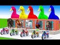 5 giant duck monkey piglet chicken dog dinosaur sheep transfiguration funny animal 2023