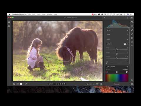 Adobe Lightroom CC에 사전 설정을 설치하는 방법