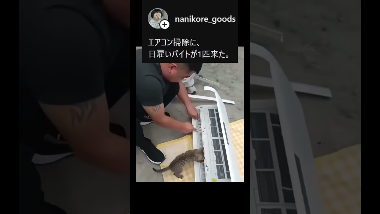縄で繋がれたドラえもんww
