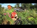 Real Russian garden: Well... at least we tried! Sweet potato harvest 2018