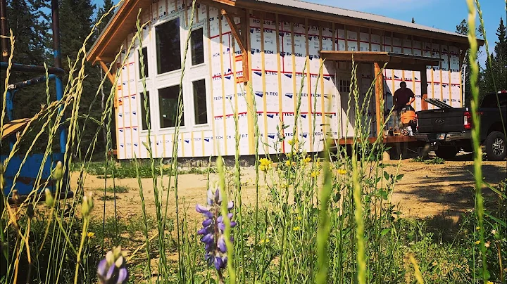 Cabin House Build Episode 6: Windows and Doors