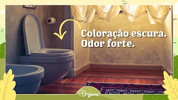 O que é trígono da bexiga?