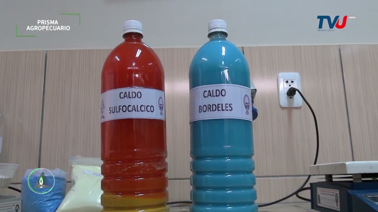 Elaboración de caldos minerales: Caldo sulfocálcico y bordelés - CIPyCA