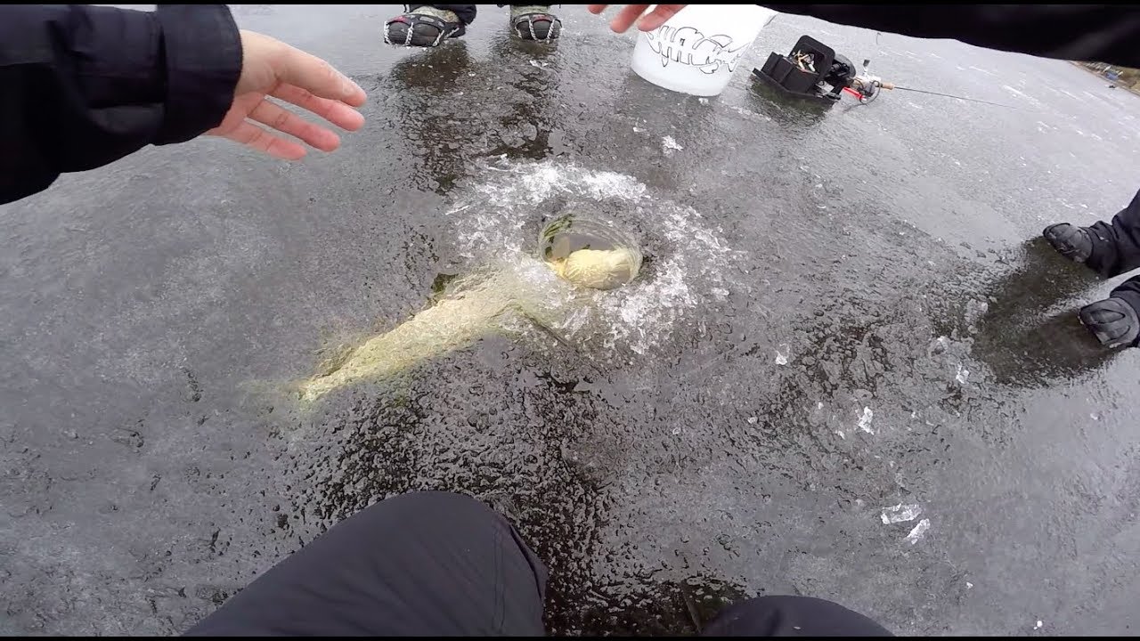 Pike through the Ice Ice fishing for Crappies YouTube
