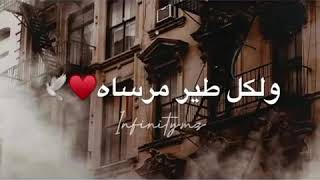 حالة واتس اب/ لكل عاشق وطن ولكل طير مرساة جميلة جدا ♥️