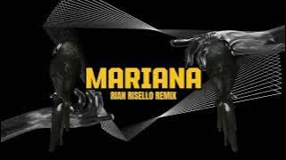 DJ ZUMBA !! MARIANA ( RIAN RISELLO REMIX ) !!