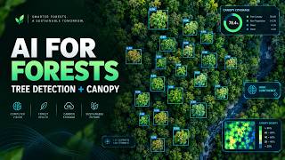 AI for Sustainability: Detect Trees & Measure Forest Canopy from Images | DeepForest + Python Update