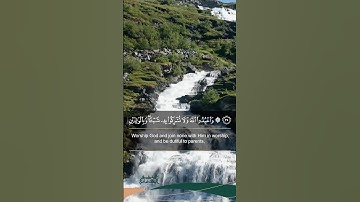 ما تيسر من سورة النساء ( ٣٦ ) - تلاوة خاشعة