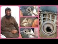 Ustad kashif butt kabootaron ka show karen of jara walay  pakistan pigeons