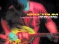 Spectrum - True Love Will Find You In the End.m4v