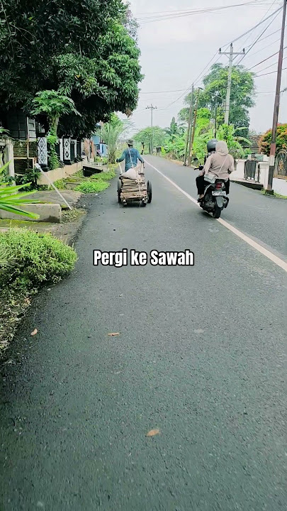 Pergi ke Sawah | Petani | Pak Tani | Bawa Gerobak |