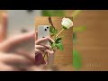 Sherine Cardi B شیرین و گاردي بي Prod By Mix DJ1 Sherine Cardi B شیرین و گاردي بي Prod By Mix DJ1