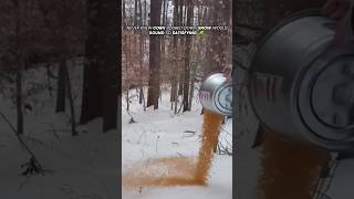 Never Knew Corn Falling Through Snow Could Sound This Satisfying 🌽❄️