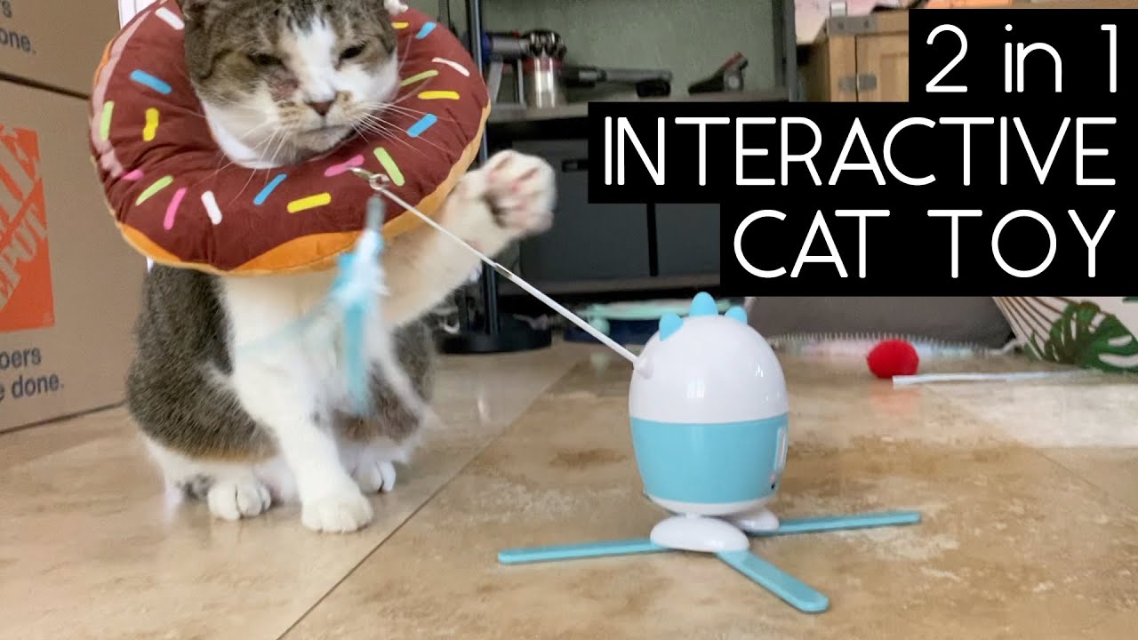 flik cat toy