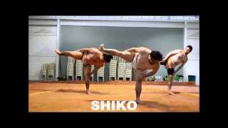 Treinando Sumo (Parte 2): Shiko