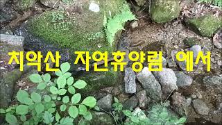 #치악산 자연휴양림 에서