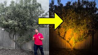 Garden Lighting 6 Ideas That Deliver