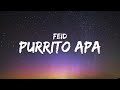 Feid icon  purrito apa letra  lyrics