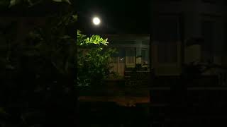 banda neira - hujan di mimpi