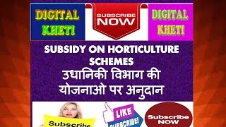 उधानिकी फसल लगाने पर सरकारी छूट, Subsidy By Horticulture Department , उधानिकी फसल उगने पर छूट