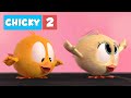 Where's Chicky? CHICKY SEASON 2 | CHICKY AND BEKKY | Chicky Cartoon in English for Kids