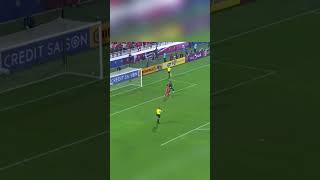 Best saves ERNANDO ARI