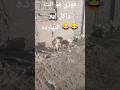 فوزي اهدى كده مالك هو انت واكل ايه النهارده كلاكيت تاني مره
