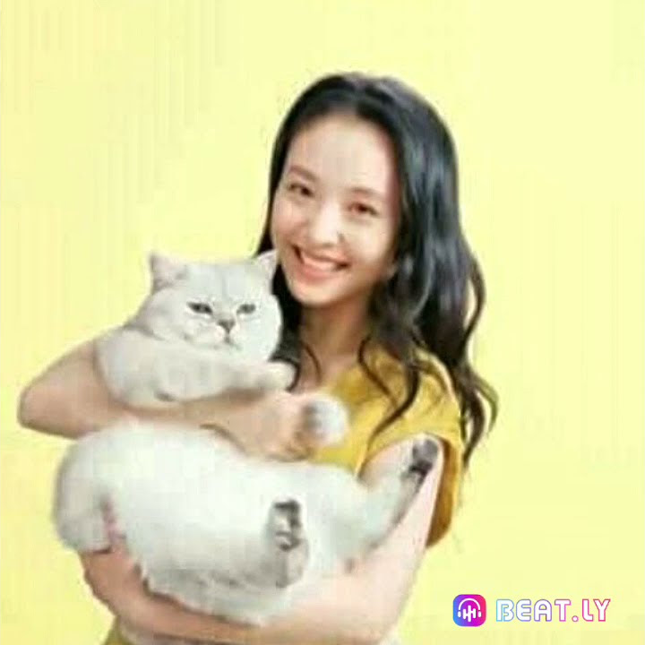 Janice Wu complication 💗