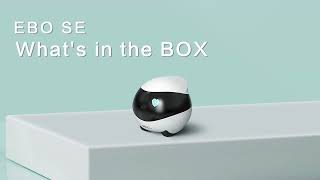 EBO SE | What's in the box