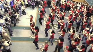 Loyola Stritch School of Medicine Match Day Flash Mob 2014