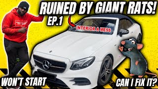 I BOUGHT A RAT INFESTED MERCEDES E220 CONVERTIBLE FOR £15,000 FROM COPART -  PART 1