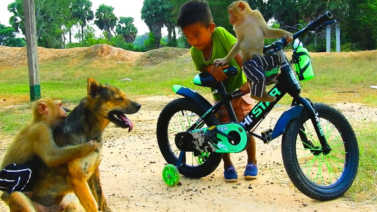 Do You Want To Ride Bicycle , Best Animal & Famous Around The World ...