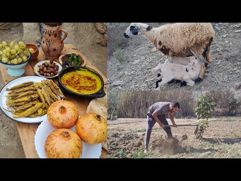 يد الفلاحة وبركة الله وتحضير غذاء بلدي في الريف