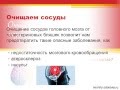 Очищение сосудов головного мозга в домашних условиях