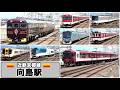 多彩な列車達が次々行き交う向島駅にて【近鉄京都線】2026年6月 #KAZUの鉄道館