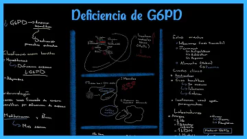 ¿Cuántos tipos de variantes de deficiencia de glucosa 6 fosfato deshidrogenasa conoce?