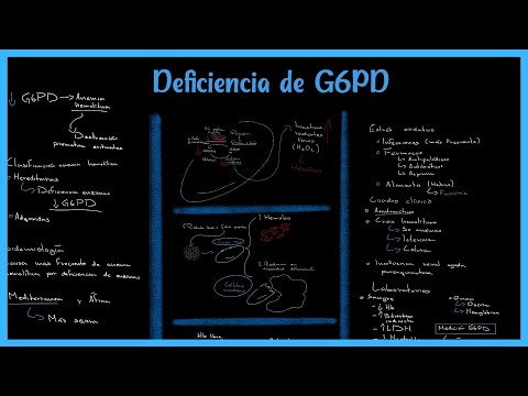 Vídeo: Prevalencia Y Caracterización Molecular De La Deficiencia De G6PD En Dos áreas Endémicas De Plasmodium Vivax En Venezuela: Predominio De La Variante Africana A-202A / 376G