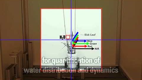 LemnaTec Automatic High Throughput Plant Phenotyping - YouTube.mp4