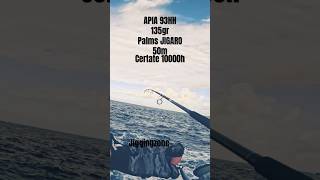 APIA 93HH JS PALMS JIGARO 135gr #shorejigging #mancing #mancingceria #ψάρεμα #apia #daiwa #jigging