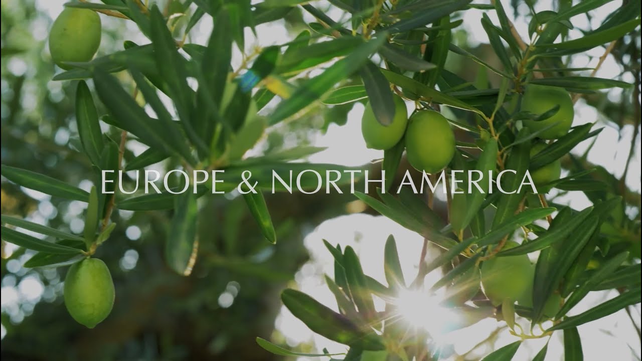 2023 Europe & North America Collection | Oceania Cruises