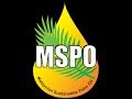 Skim pensijilan minyak sawit mampan malaysia mspo