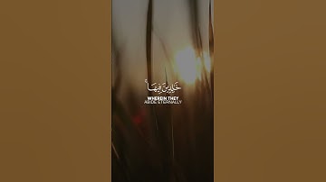 تلاوة خاشعة مع آيات مختارة من القرآن الكريم #73