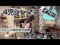 【4児シンママ】4人目の赤ちゃん返り?/休日って疲れるよなぁ〜30歳超えてから自分の年齢がパッとでてこない症候群