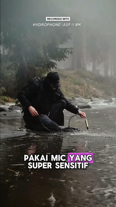 Alam punya banyak suara… Suara Agent Property Eastons Kemayoran ! 🤭