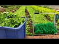Make $ In Your Front Yard | How to Start a No Till Market Garden