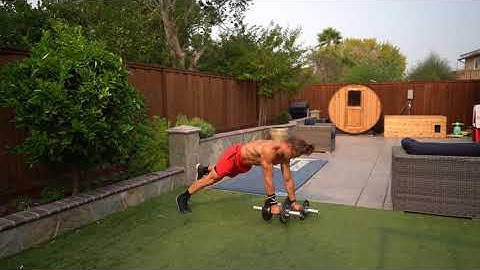 Contralateral Plank Dumbbell Row