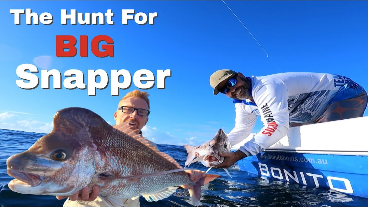 The Hunt For Big Snapper. Using Plastics To Fish For Big Reds!!!